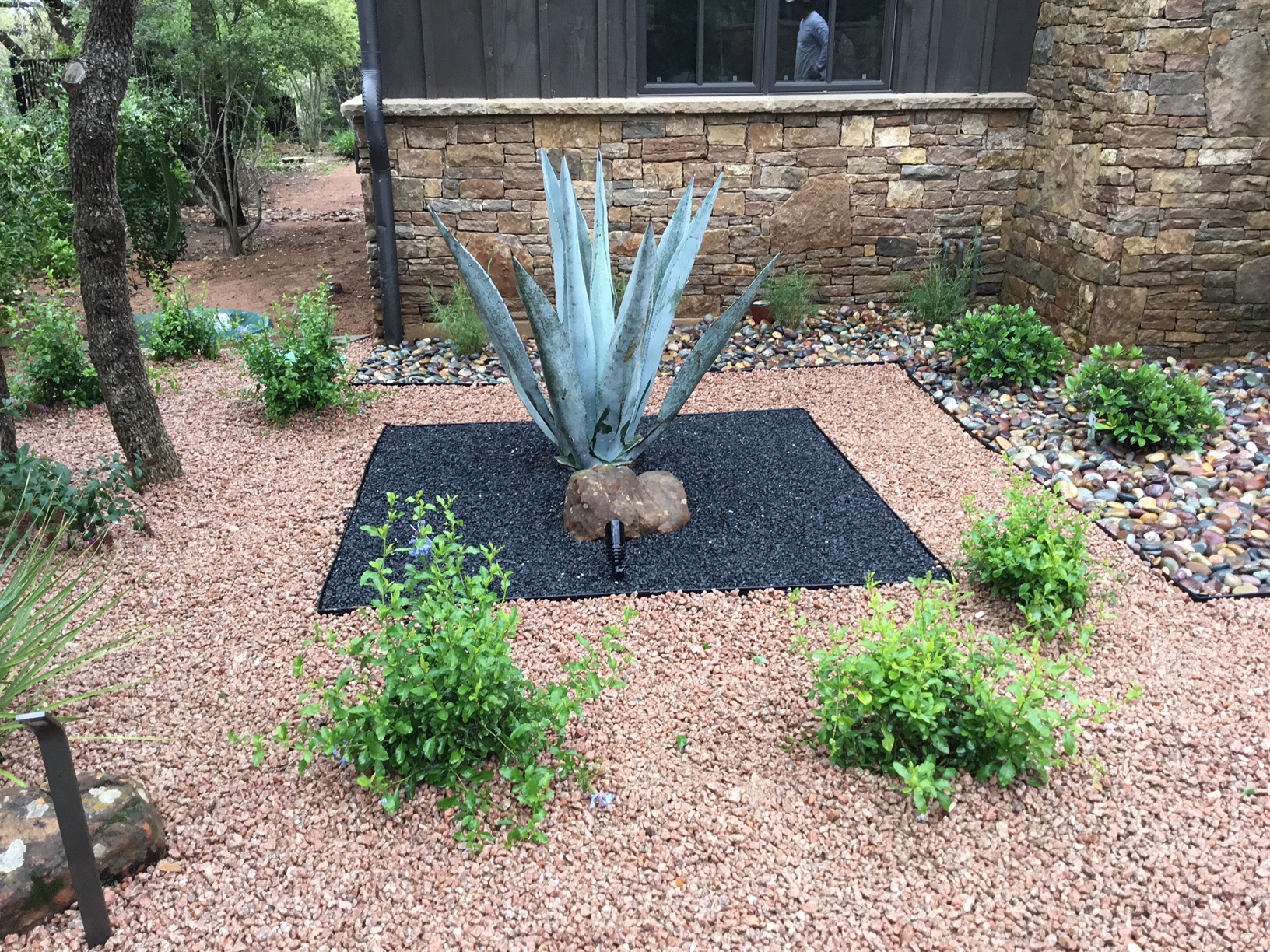 Modern, Drought Tolerant, Landscape Glass Garden by JXC Landscaping (12)