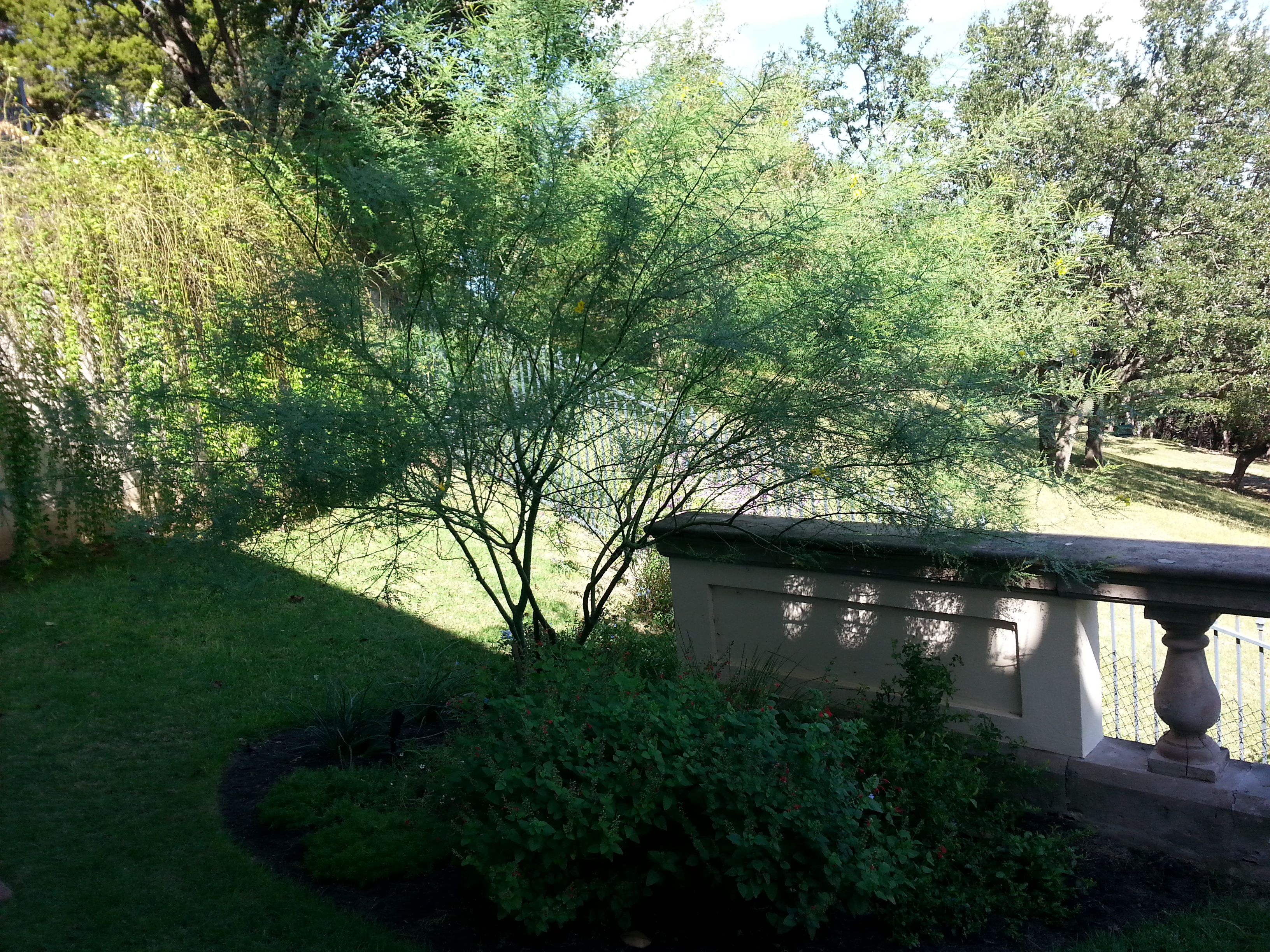 Westlake, TX