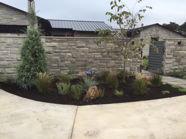 Roy Roy Austin TX by JXC Landscaping (9)