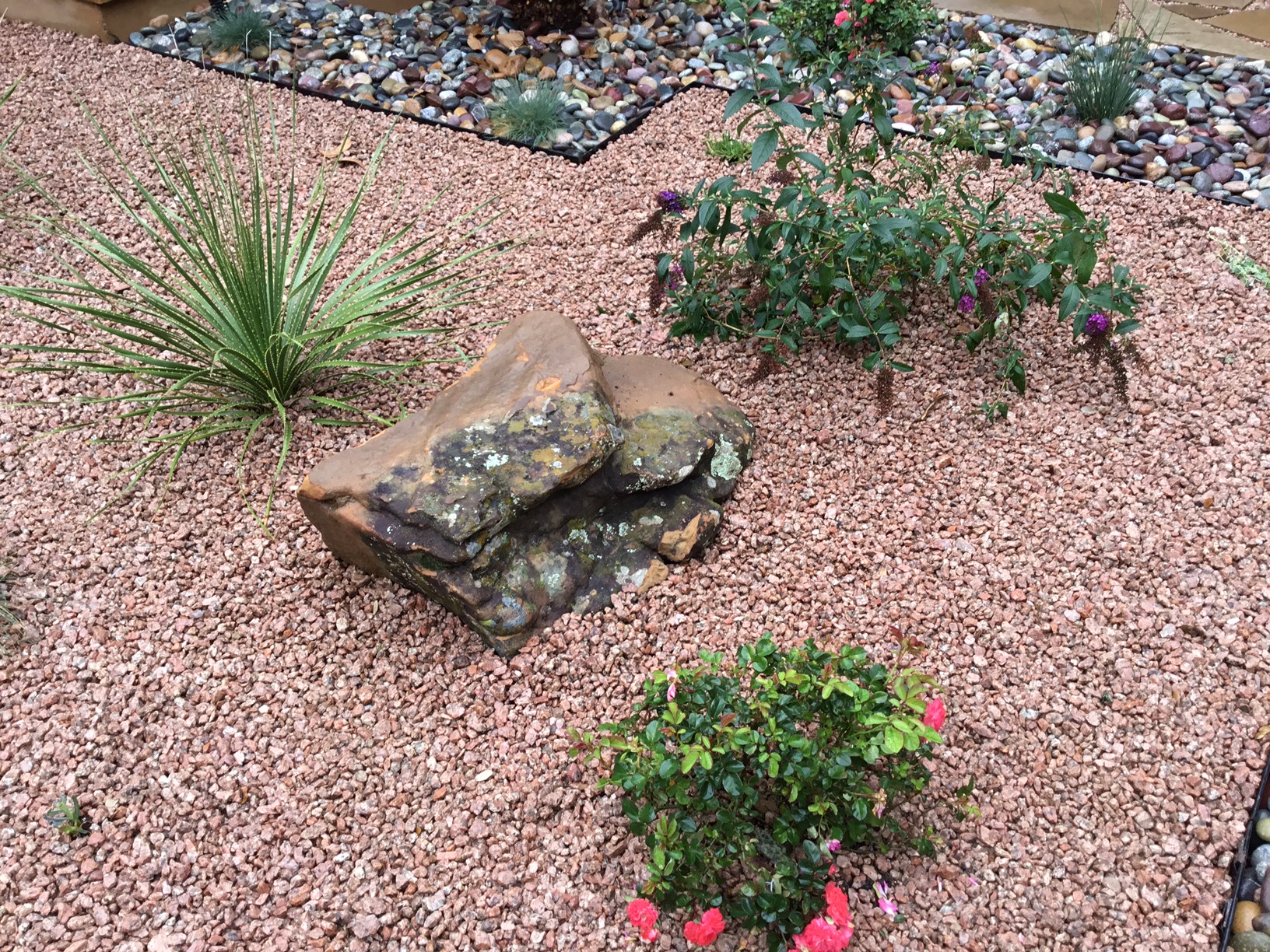 Modern, Drought Tolerant, Landscape Glass Garden by JXC Landscaping (25)