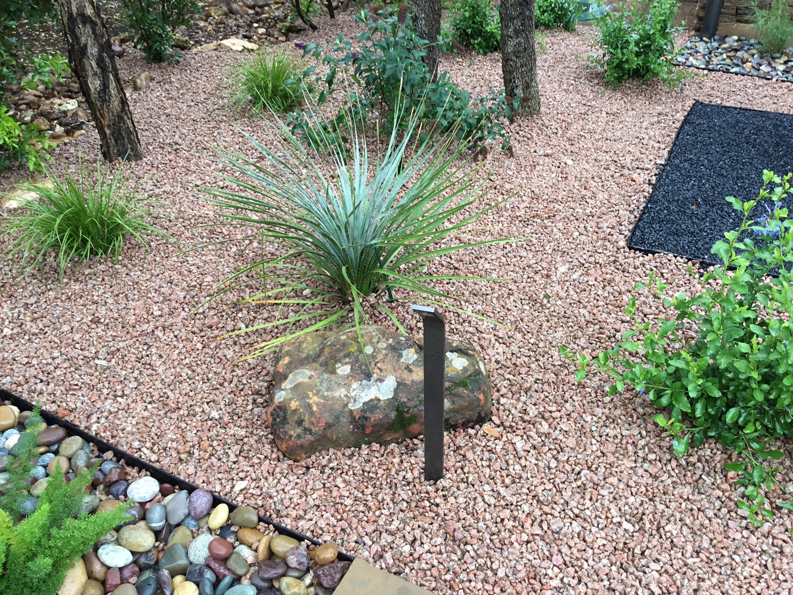 Modern, Drought Tolerant, Landscape Glass Garden by JXC Landscaping (16)