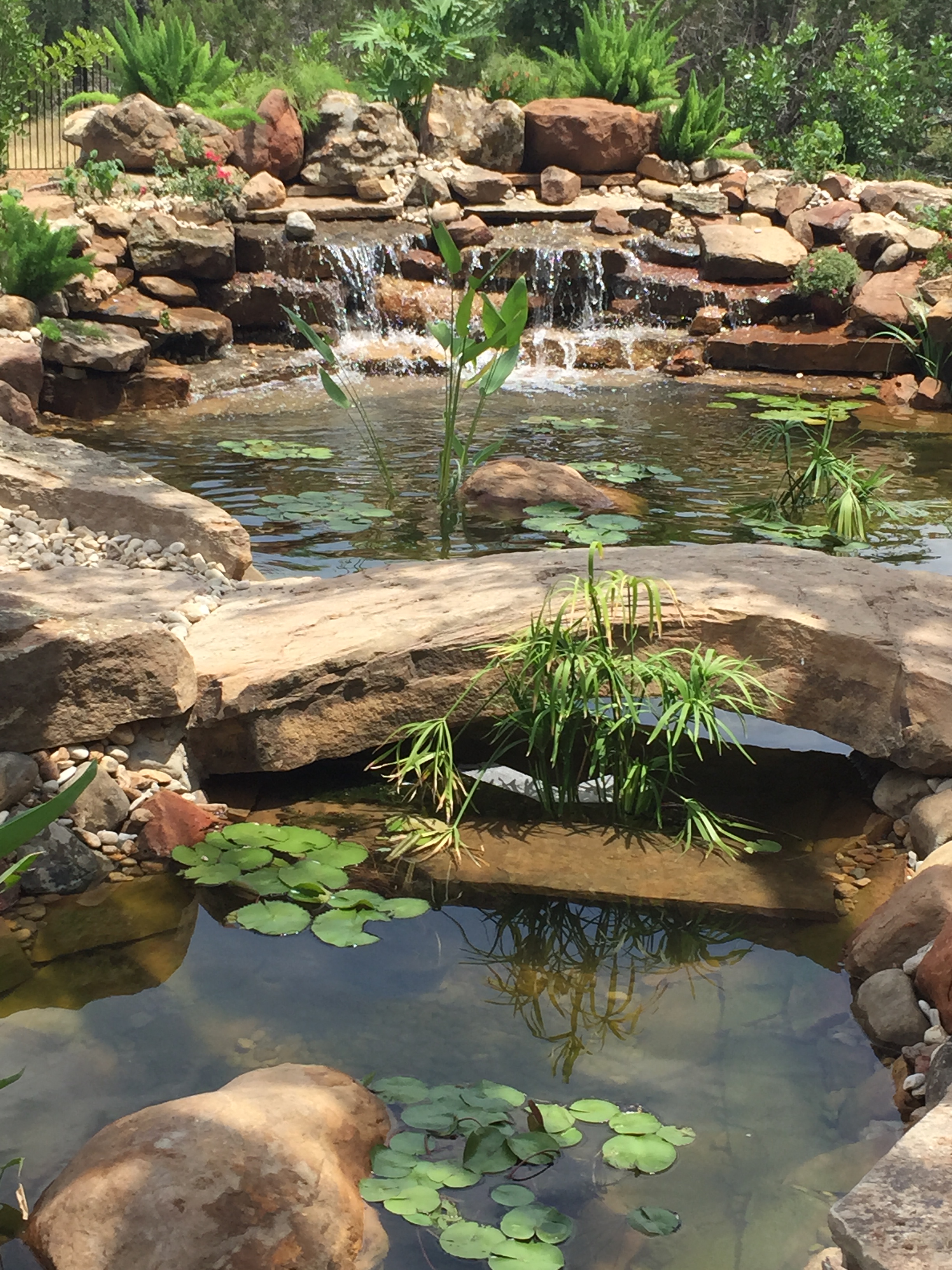 JXC Landscaping Koi Pond Installation Bella Montagna Lakeway TX (4).jpg