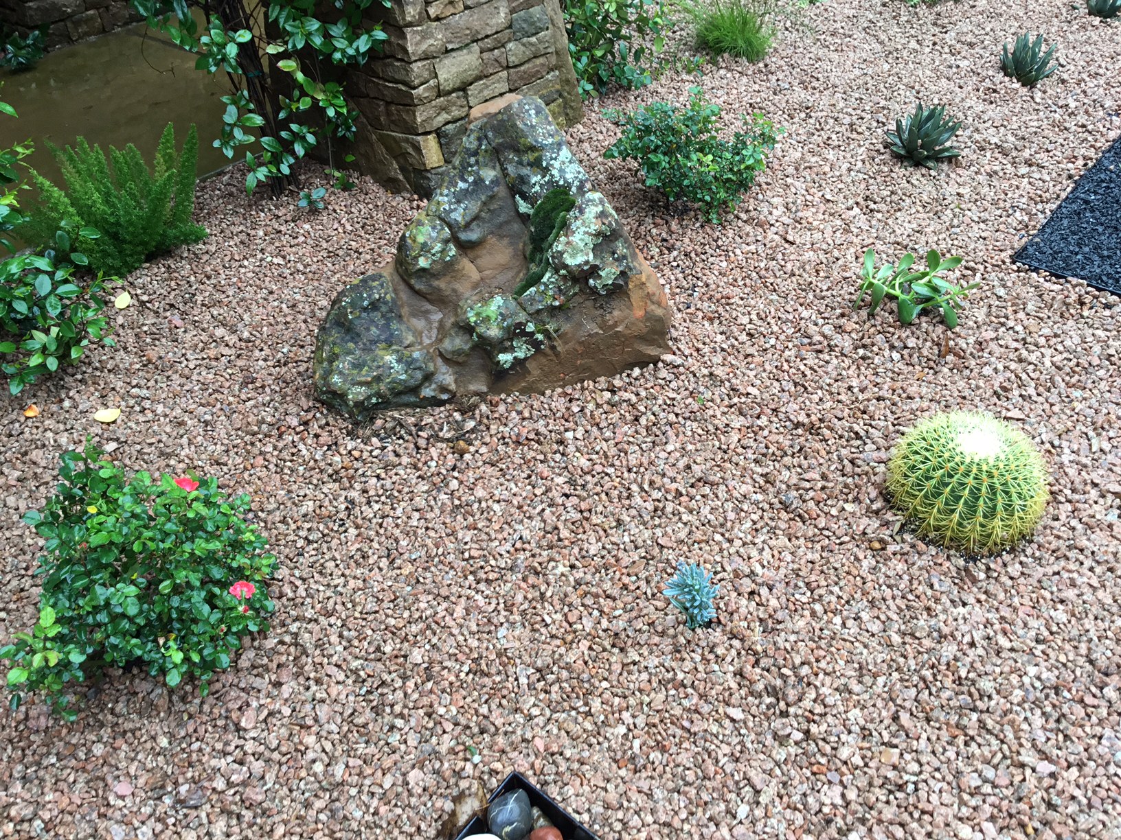 Modern, Drought Tolerant, Landscape Glass Garden by JXC Landscaping (19)
