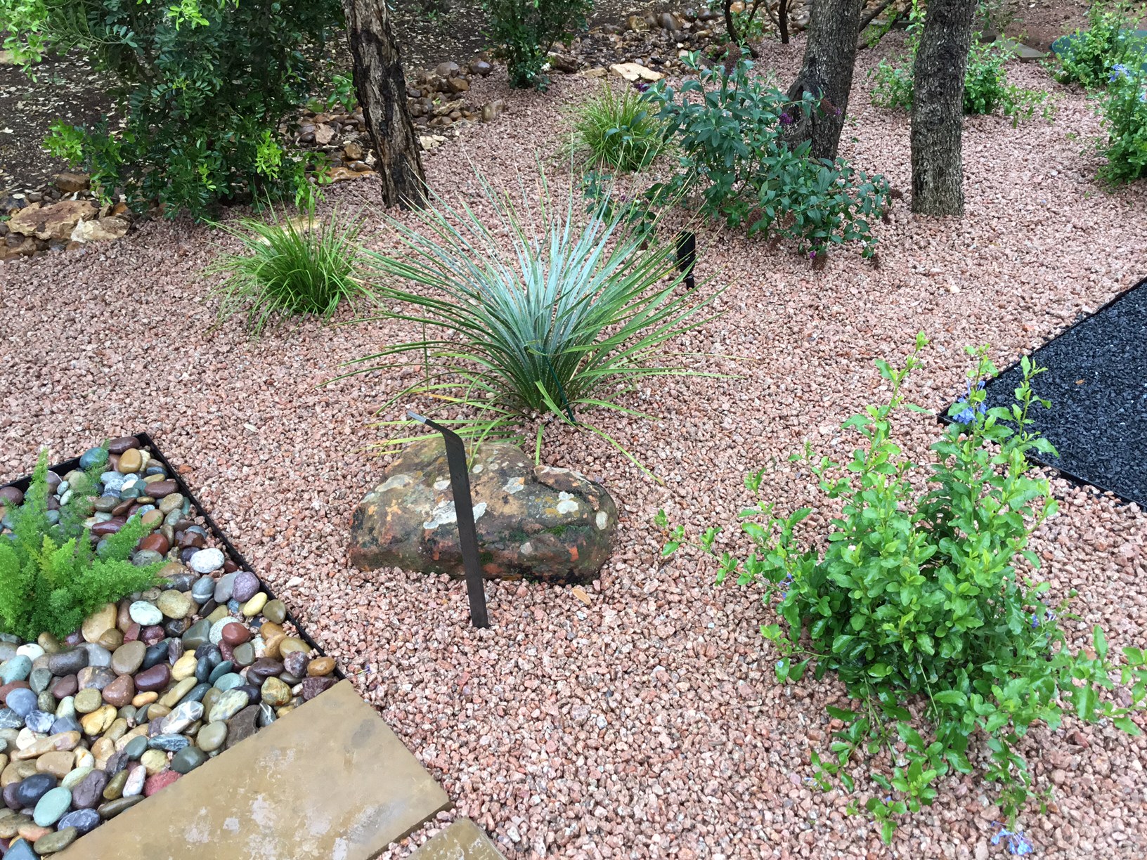 Modern, Drought Tolerant, Landscape Glass Garden by JXC Landscaping (9)