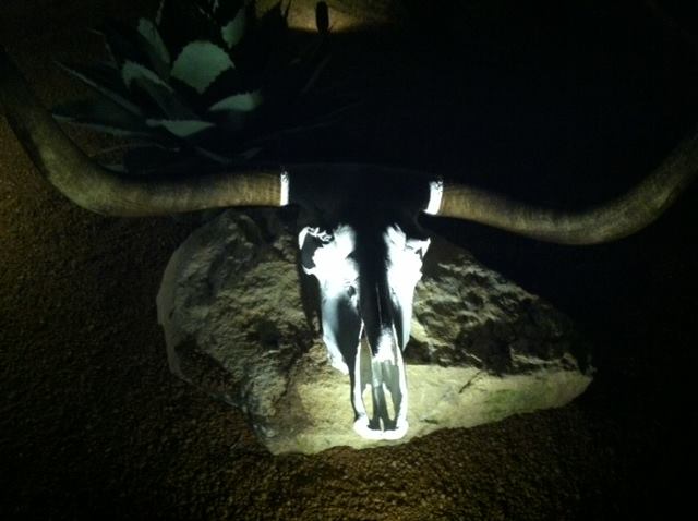 Landscape Lighting Rough Hollow, Lakeway Texas 7