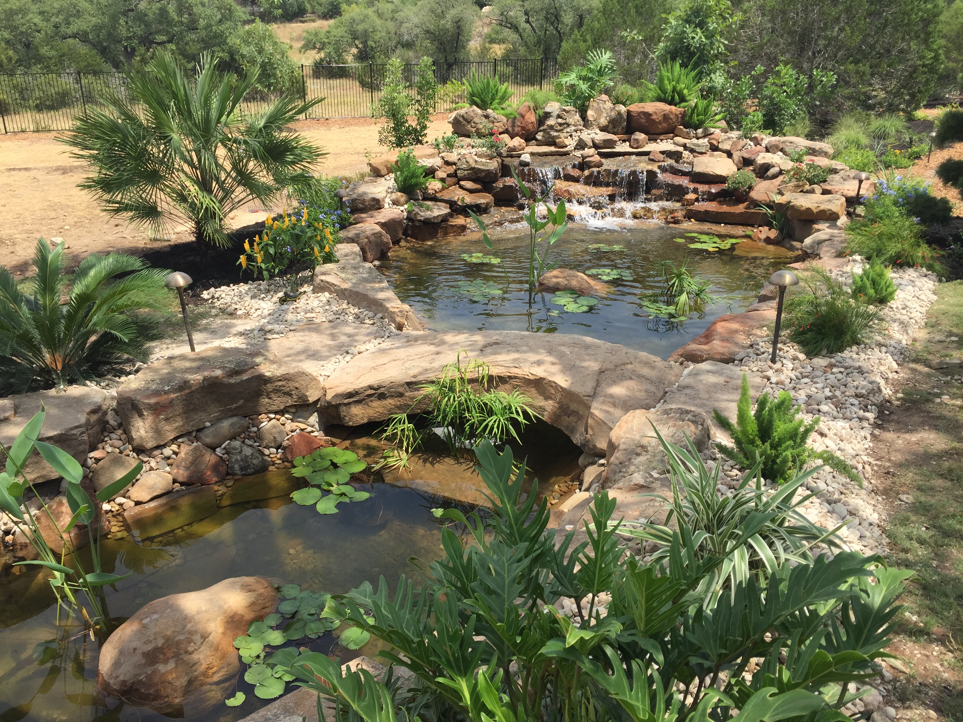 JXC Landscaping Koi Pond Installation Bella Montagna Lakeway TX (10).jpg