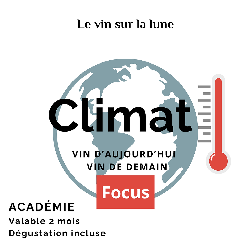 image d'une planete et d'un thermometre. texte" e-learning : climat : vin d'aujourd'hui et vin de demain"