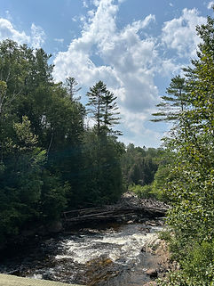 IMG_6373.jpeg