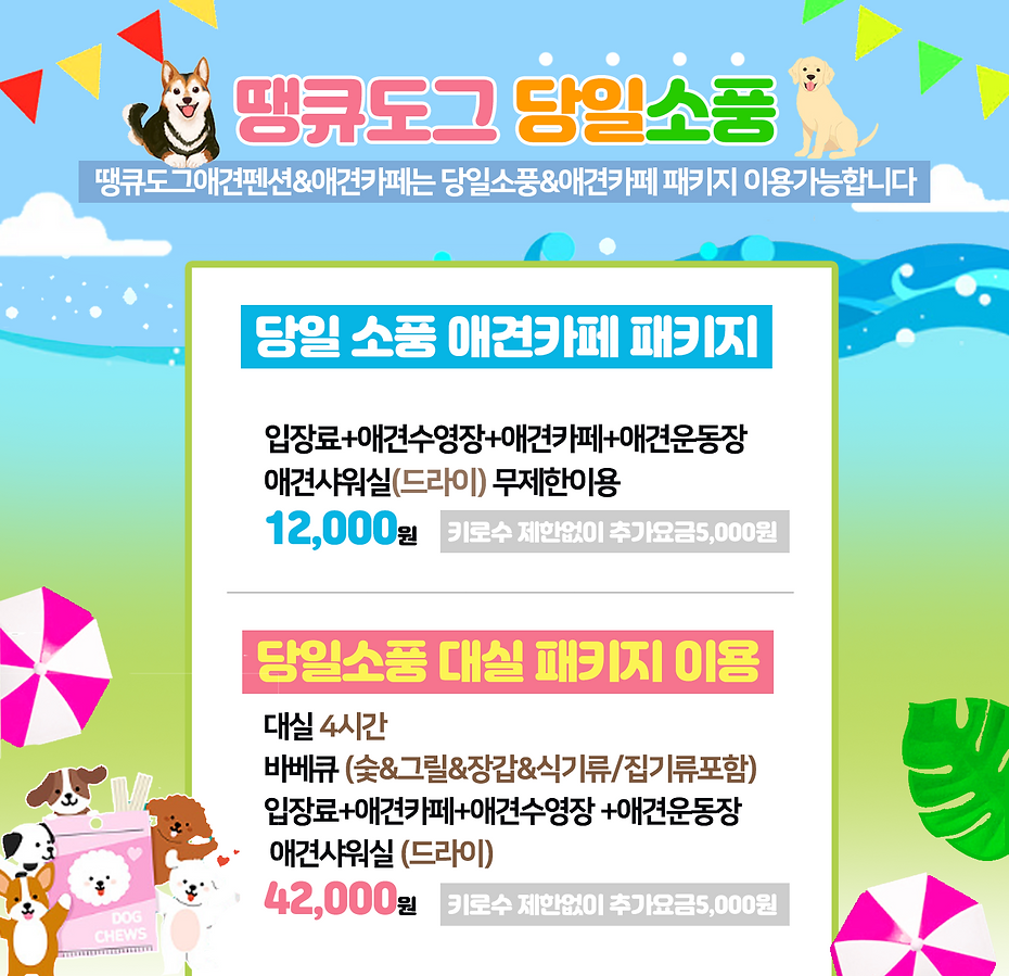 땡큐도그애견펜션 당일소풍 안내.png