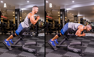 Decline Bench Hyperextensions.png