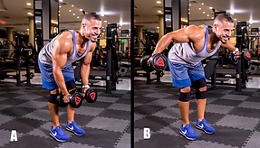 BentOver Dumbbell Flys.png