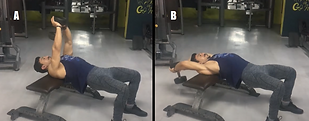Bench Dumbbell PullOvers.png