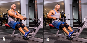 Seated Cable Rope Rows.png