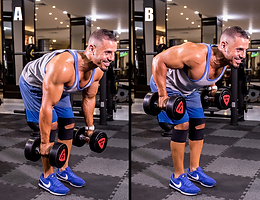 BentOver Dumbbell Rows.png