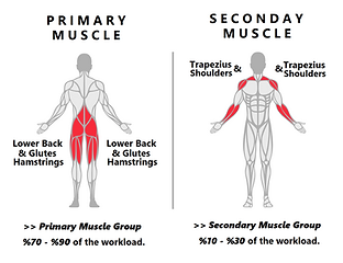 Proper Deadlifts.png