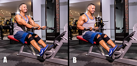 Seated Cable Rows (Underhand Grip).png