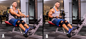 Seated Cable Rows (Underhand Grip).png