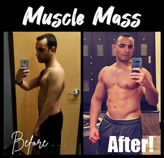 Muscle Mass.png