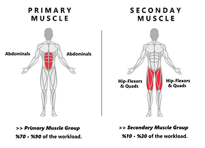 Abdominals Air Bike 1.png