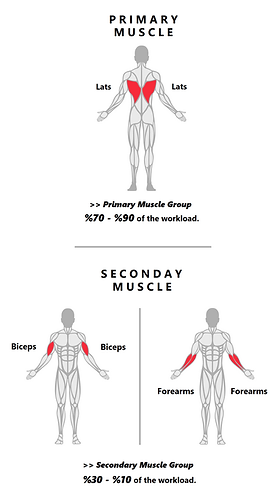 Lat PullDowns.png