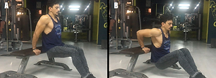 Bent Knees Bench Dips.png