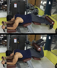 Lying Leg Curls.png