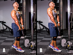 EZ Bar Cable Shrugs (Close Grip).png
