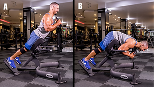 Decline Bench Weighted Hyperextensions.png