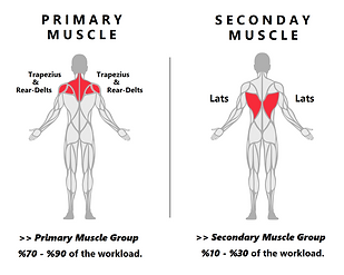 Machine Rear Delts Flys.png