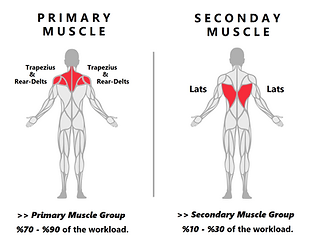 Machine Rear Delts Flys.png