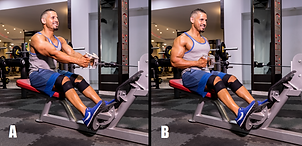 Seated Cable Rows (V Grip).png