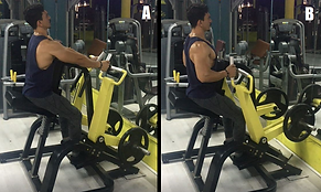 Seated Rows (Plate Loaded).png