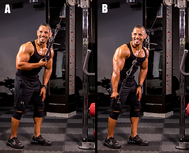 Single Arm Reverse Cable Extensions.png