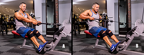 Seated Cable High Rope Rows.png