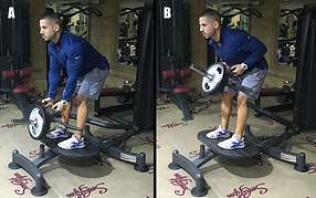 T-Bar Rows (Neutral Grip).png