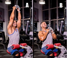 Lat PullDowns (V Grip).png