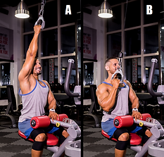 Lat PullDowns (Single Arm Grip).png