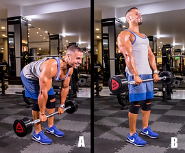 Proper Barbell DeadLifts.png