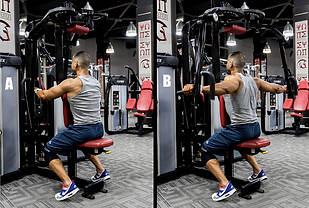 Rear Shoulders Machine Flys.png