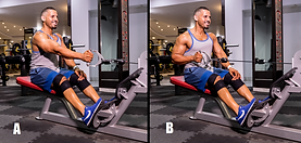 Seated Single Arm Cable Rows.png