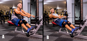 Seated Cable Back Extensions.png