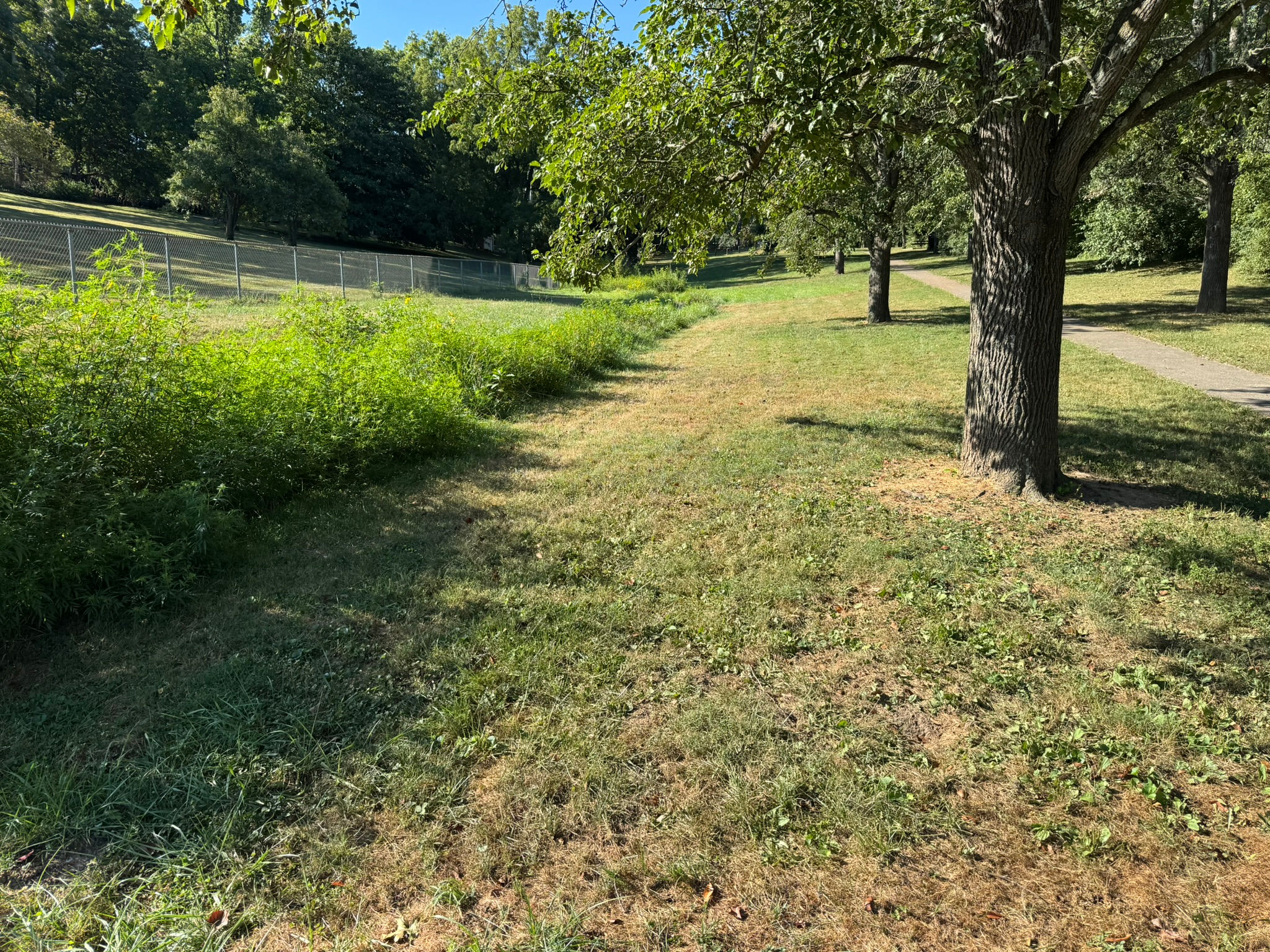 Mix 217 - Coastal Plains Bioswale Economy Mix