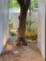Kagero Bangkok