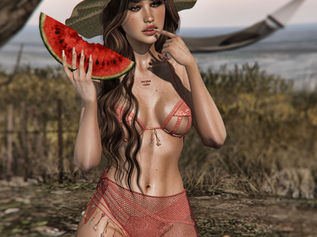 W-0406