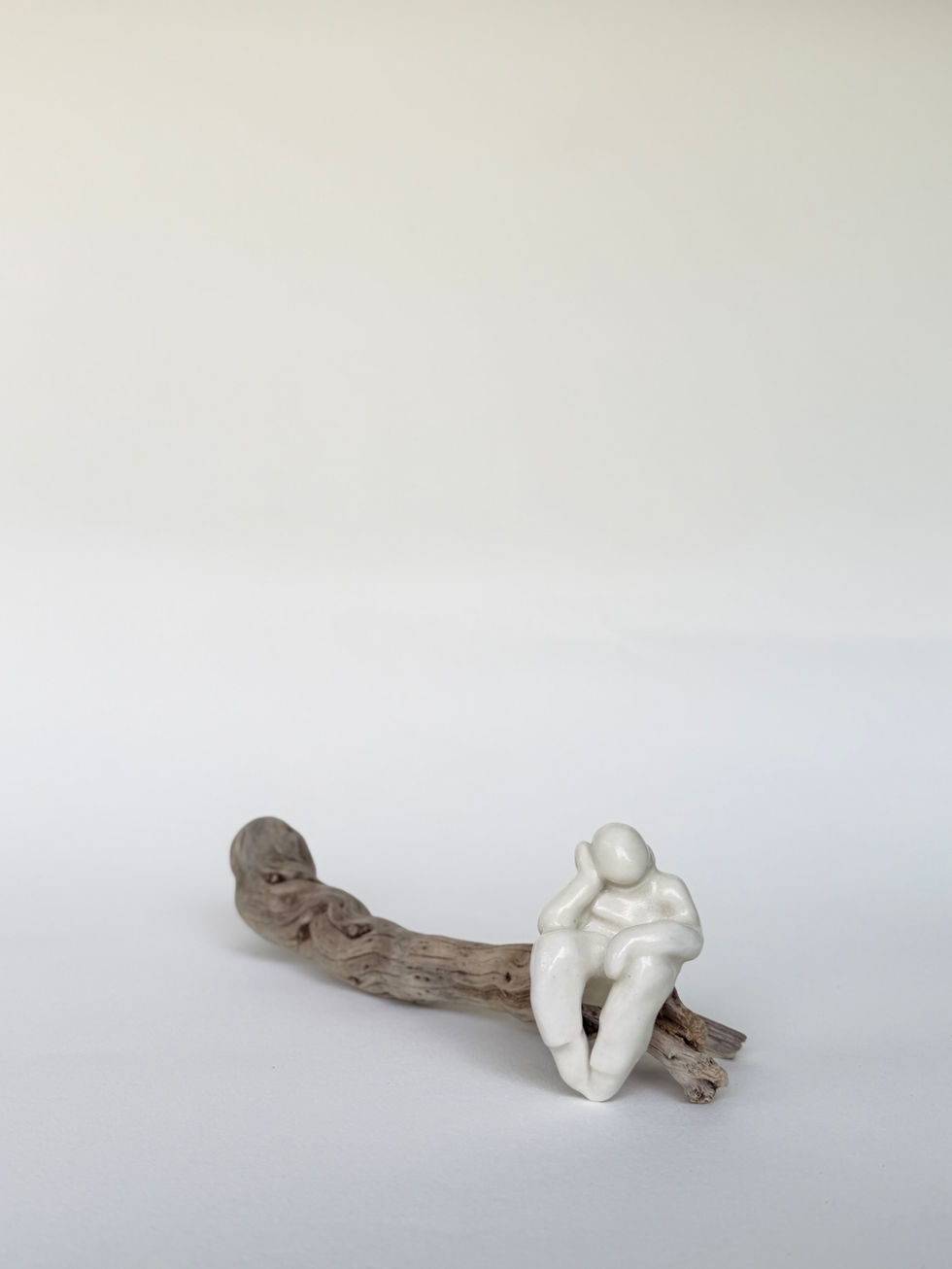 Porcelaine V