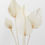 Thumbnail: Bleached white palm stems