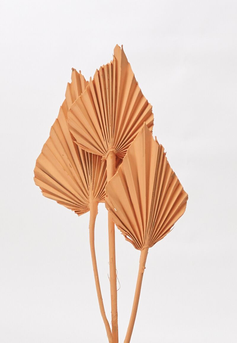 Thumbnail: Set of 3 orange painted palm stems