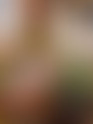 宴藝:一場味覺與人情的雅集