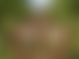 Youth vs Climate Change: How the Next Generation is Leading the Fight