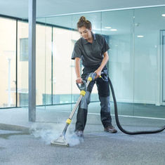 professional carpet cleaning brantford